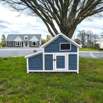 Poulailler bantam xl bleu toit shingle jusqu 4 poules