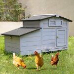 Poulailler en bois - cdisplay - poulailler - avec pondoirs - facile � nettoyer - 104 x 60 x 715 cm