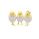 Poussin jaune dans coquille oeuf 5x9cm