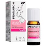 Pranarom pranabb mélange pour diffusion assainissant bio 10ml Pranarom pranabb mélange pour diffusion assainissant bio 10ml