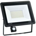 Projecteur ext�rieur led - shi - 100 w - d�tecteur de mouvement - lumi�re blanche froide 6500 k - 36 ...