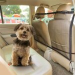 Protection en filet barriere de securite de voiture pour animal de compagnie sparation auto pour chien ...