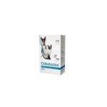 Complment alimentaire - protexin - cobalaplex - 60 capsules - vitamine b12 - prbiotiques