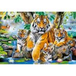 Puzzle 1000 pices : les tigres dans la rivire