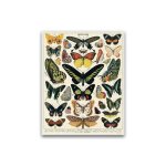 Puzzle 1000 pi�ces - papillons vintage d�co - adulte - beige - animaux - 50x70cm