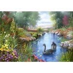 Puzzle 1500 pi�ces - andres orpinas : les cygnes noirs - castorland - puzzle animaux