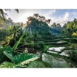 Puzzle 2000 pices au c?ur de bali, adultes et enfants ds 14 ans, collection vasion, 12001518, nathan ...