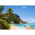 Puzzle 3000 pièces - plage tropicale seychelles - castorland - paysage et nature - adulte - 3000 - 5000 ... Puzzle 3000 pièces - plage tropicale seychelles - castorland - paysage et nature - adulte - 3000 - 5000 ...