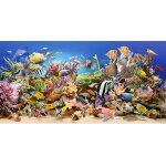 Puzzle 4000 pi�ces : vie sous - marine