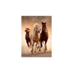 Puzzle adulte - chevaux qui courent en liberte - 1000 pieces - clementoni - collection animaux