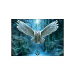 Puzzle adulte chouette reveille ta magie - 500 pieces - collection animaux de la foret