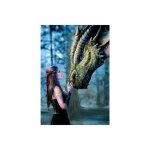 Puzzle adulte : dragon - il etait une fois - 1000 pieces - educa