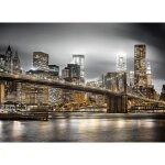 Puzzle adulte - vue sur la ville de new - york la nuit - 1000 pieces - collection ville des etats - unis ...