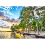 Puzzle - bluebird - guadeloupe - anse champagne - 500 pi�ces - paysage et nature - int�rieur