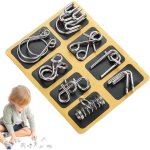 Puzzle casse - t�te en fil m�tallique iq - lot de 8 - jeu desprit - jouet �ducatif