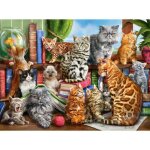 Puzzle castorland house of cats - animaux - 2000 pices - enfants et adultes