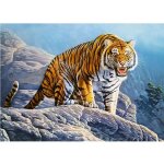 Puzzle - castorland - tigre sur un rocher - 180 pices - animaux - enfant