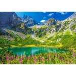 Puzzle - castorland - zelene pleso - 1000 pi�ces - paysage des tatras - multicolore