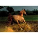 Puzzle cheval chestnut - 1000 pices - animaux - adulte