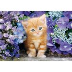 Puzzle compact 500 pices : le chat roux
