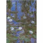 Puzzle 1000 pi�ces d - toys claude monet nymph�as