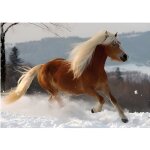 Puzzle spcial / difficile : cheval haflinger n2
