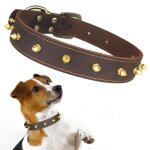 Qianruida collier pour chien en cuir  pointes rivets clouts en cuir - l