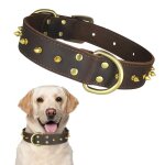 Qianruida collier pour chien en cuir � pointes rivets clout�s en cuir - xxl