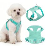 Qianruida - harnais canin avec bandes r�fl�chissantes nylon durable et doux design � 2 attaches vert ...