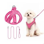 Qianruida harnais chaton anti �vasion r�fl�chissant r�glable harnet pour chat gilet respirant harnais ...
