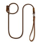 Qianruida laisse chien 1. 5m laisse dressage chien collier laisse chien laisse de traction - marron fonc ...