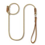 Qianruida laisse chien 150cm laisse dressage chien collier laisse chien laisse de traction - kaki