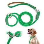 Qianruida laisse chien 150cm laisse dressage chien collier laisse chien laisse de traction - vert émeraude ... Qianruida laisse chien 150cm laisse dressage chien collier laisse chien laisse de traction - vert émeraude ...