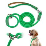 Qianruida laisse chien 180cm laisse dressage chien collier laisse chien laisse de traction - vert �meraude ...