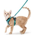 Rabbitgoo harnais chat petit chien laisse harnais chaton rglable vert s collier harnai chat reflchissant ...