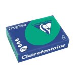 Ramette de papier - a4 - vert sapin - 210g - impression - 250 feuilles - clairefontaine trophée Ramette de papier - a4 - vert sapin - 210g - impression - 250 feuilles - clairefontaine trophée