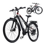 Randride yg90 v�lo �lectrique vtt 29 pouces 1000w - batterie 48v 17ah 45 km / h shimano 21 vitesses
