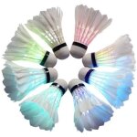 Raquette de badminton rzbzbry boule de badminton de formation de plume doie lumineuse de nuit de lueur ...