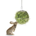 Rtelier  foin lapin boule distributeur pour lapin boule suspendue en acier inoxydable pour petits animaux ...