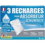 Recharge absorbeur 1kg - lot de 3