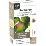 Recharge pour pi�ge punaises diaboliques - bsi - 1 recharge - ph�romone attractif - compatible cymatrap ...