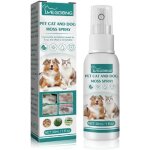 Rcupration et soulagement des dmangeaisons teigne pour chien chat soulagement 30ml chat dermatite ...