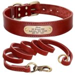 (red set / xs)collier en cuir personnalisable pour chien ensemble avec laisse pour animal de compagnie ...