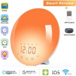 Rveil lumineux simulateur daube et crpuscule 7 color lights radio fm double alarme fonction snooze ...
