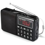 Rveil - we - radio portable - am / fm / sw - lecteur usb / micro sd - batterie rechargeable 800mah