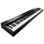 Roland rd - 08 piano de scne