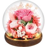 Rose eternelle cadeaurose �ternellefleur �ternellecadeau saint valentin femme cadeau st valentin femme ...
