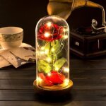 Rose eternelle - la belle et la bte - lampe led - couvercle verre - base bois - rouge