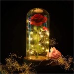 Rose ternelle sous cloche led - belle et la bte - rouge - fleurs artificielles - cadeaux de vacances ...