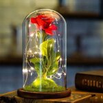 Rose eternelle et lumière led - zgeer - la belle et la bête - cadeaux pour la fête des mères / la saint ... Rose eternelle et lumière led - zgeer - la belle et la bête - cadeaux pour la fête des mères / la saint ...